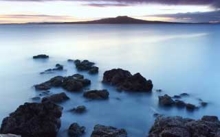 Halda Therapeutics: What's Up With The Stock?