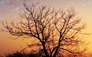 The Crypto Market's Visionary Horizon: Unlocking Breakthroughs and Charting Our Collective Future