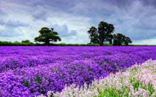 DeFi Token Performance & Investor Trends Post-October Crash: Unlocking 2025's Potential for Investors